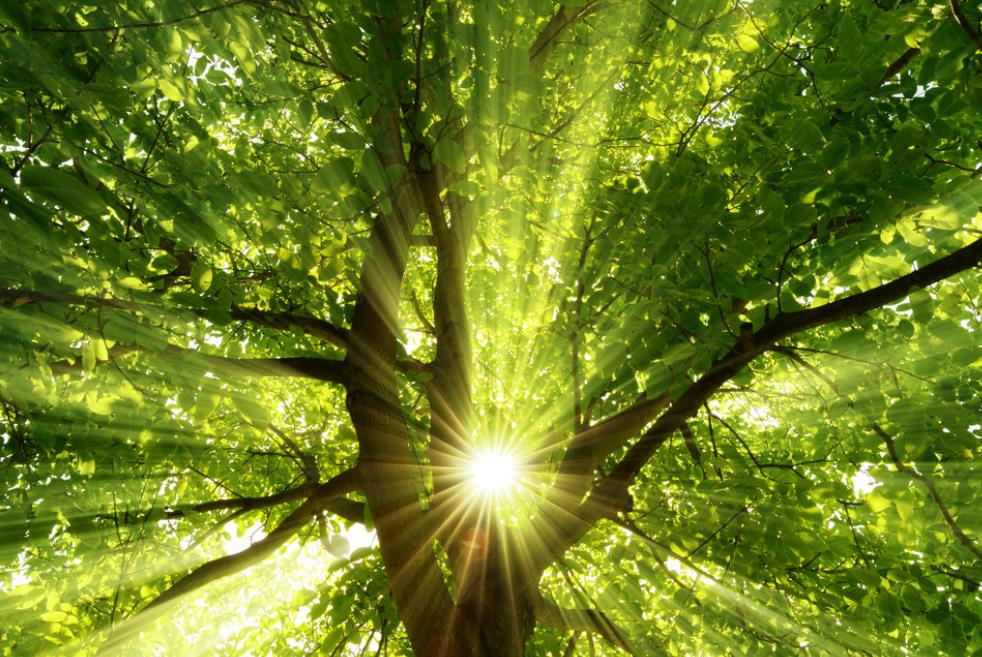 青岛蜂窝纸板提醒您近期请谨慎出门